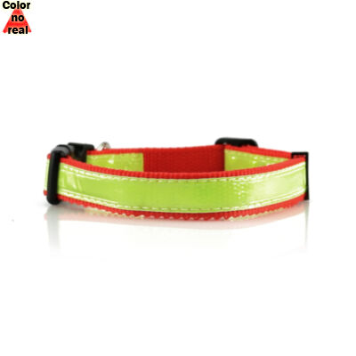 Collar Muttley